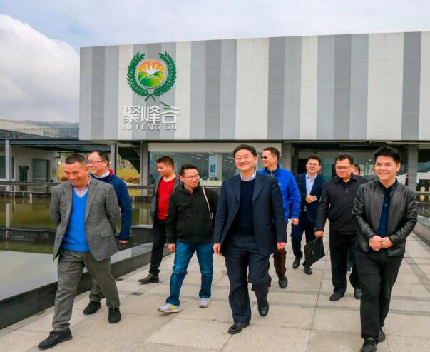 集團(tuán)黨委書記、董事長任丁率隊(duì)調(diào)研聚峰谷