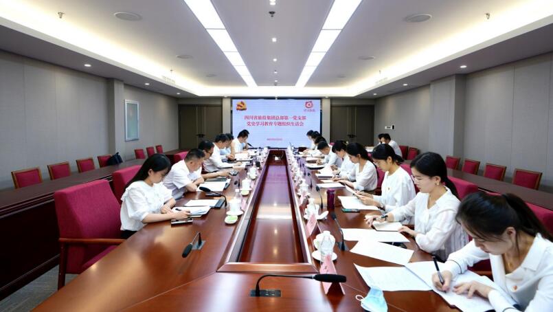 旅投集團(tuán)黨委書記、董事長任丁參加總部第一黨支部黨史學(xué)習(xí)教育專題組織生活會