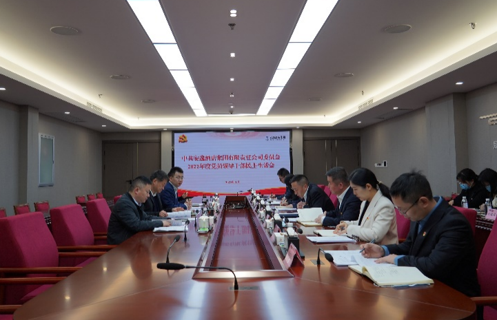 旅投集團(tuán)黨委書記、董事長任丁出席安逸酒店集團(tuán)2022年度黨員領(lǐng)導(dǎo)干部民主生活會